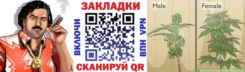 Названия наркотиков Якутск АМФ  ГАШ  Каннабис  КОКАИН  A PVP 