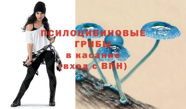 шишки Лабытнанги