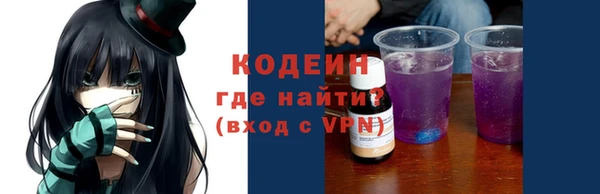 шишки Лабытнанги