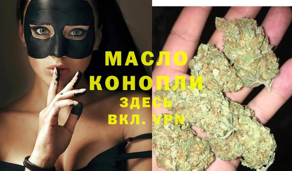 шишки Лабытнанги