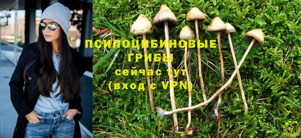 дмт Кулебаки