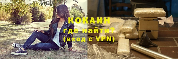 шишки Лабытнанги