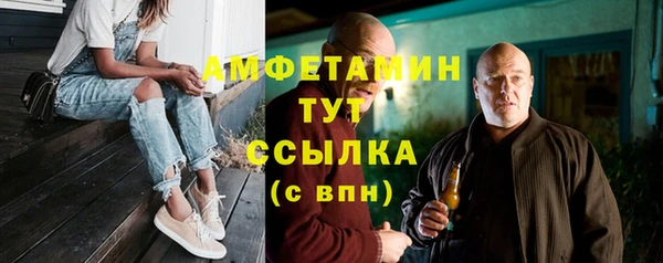 шишки Лабытнанги