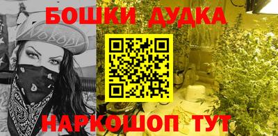 apvp Можга