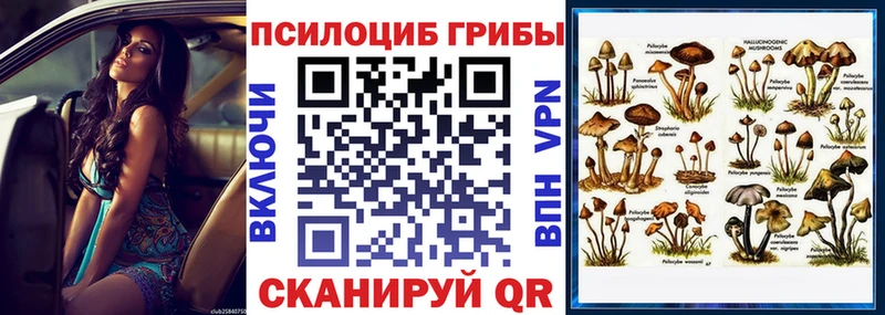 дарнет шоп  ОМГ ОМГ tor  Псилоцибиновые грибы Cubensis  Якутск 